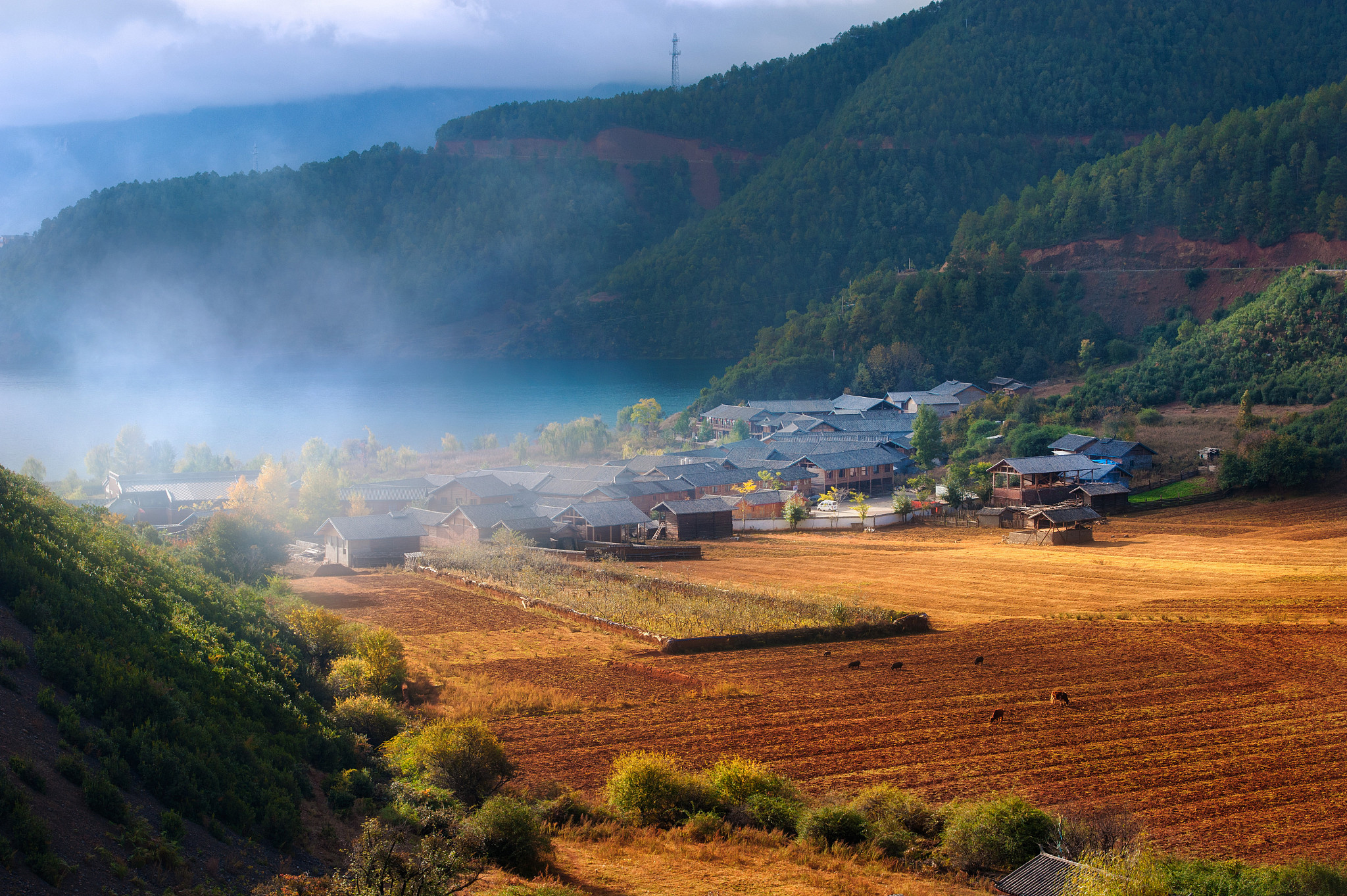 描写彝族家乡民风淳朴短句