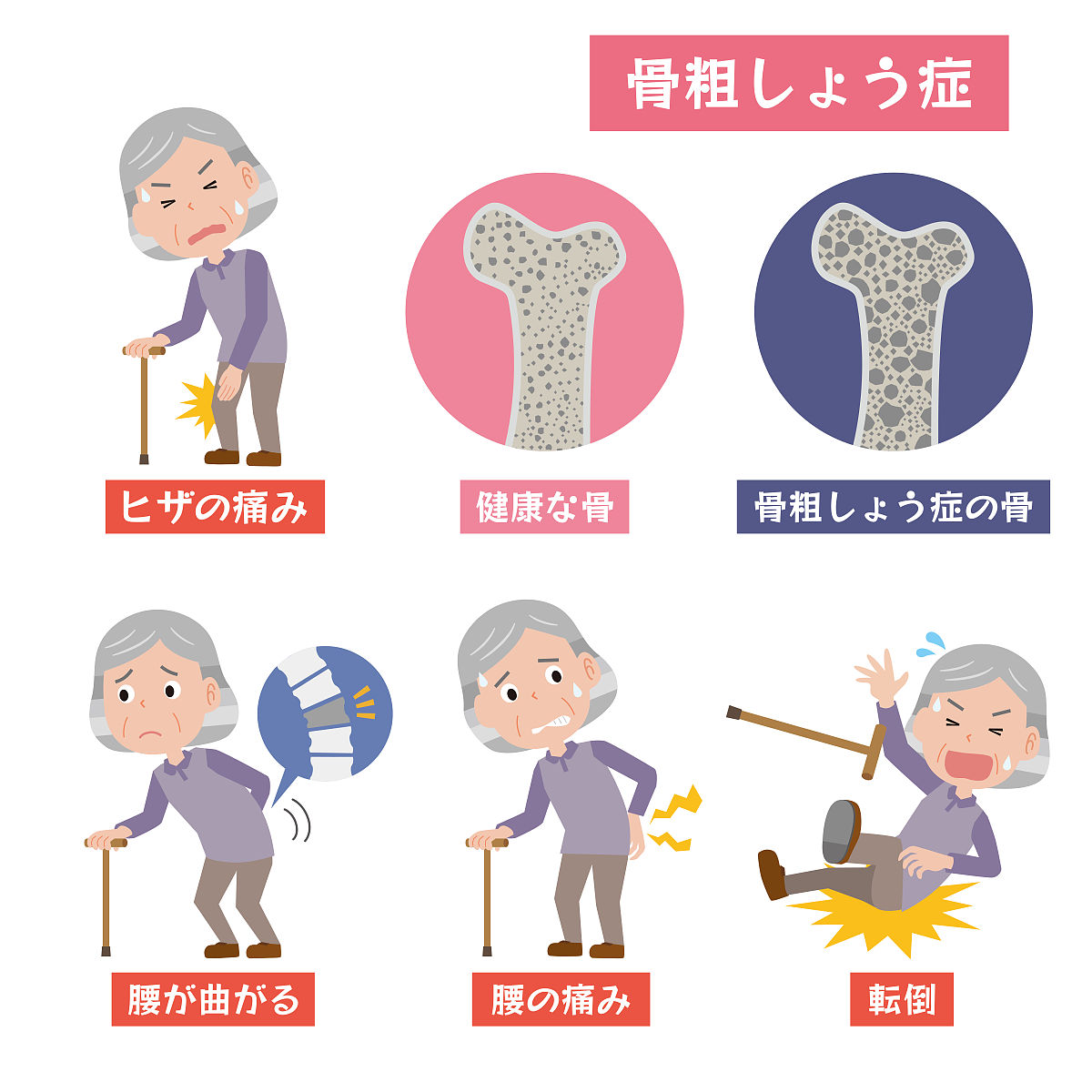 写一篇综述性论文：中医药在老年骨质疏松中临床应用进展文章中要有近五年核