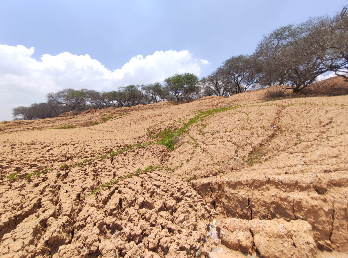 生态环境受人为影响程度分类：轻度、中度、重度