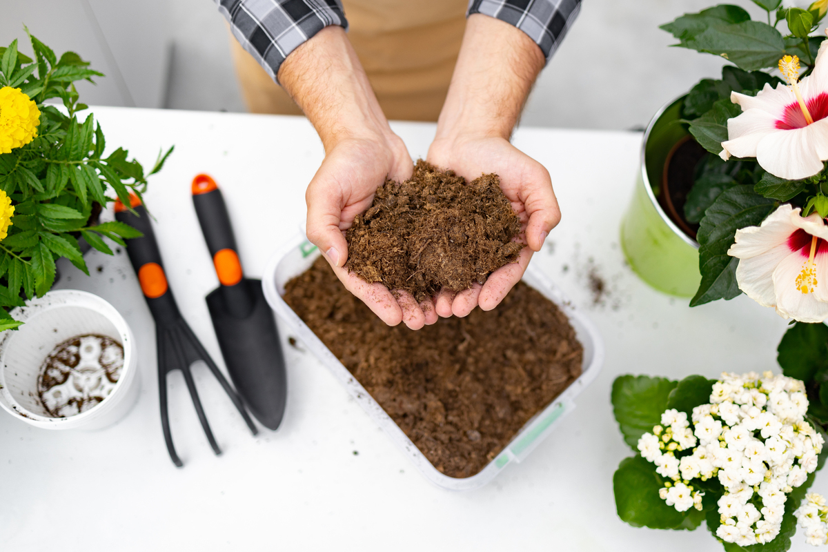 兰州园艺学校2023年有哪些专业