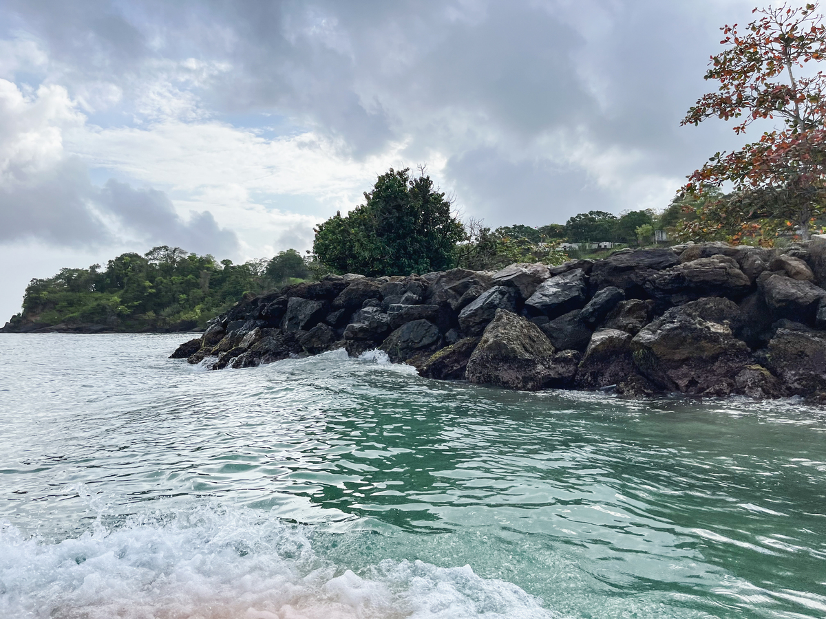 海岛雨景：生命的旋律与大自然的恩赐