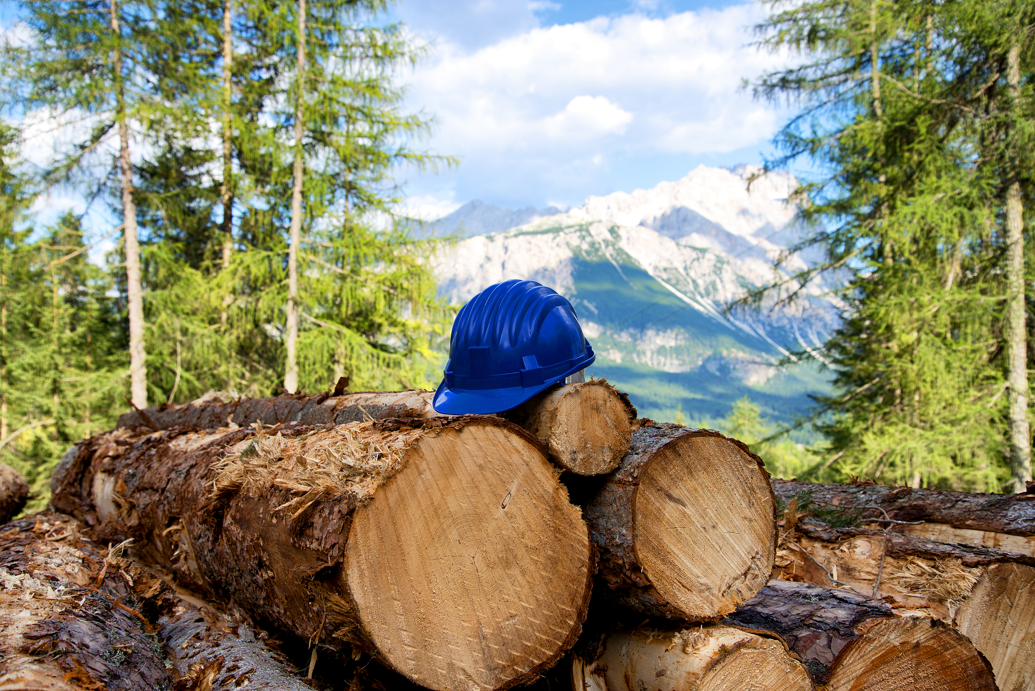 黑龙江农业工程职业学院五年制大专收往届生吗
