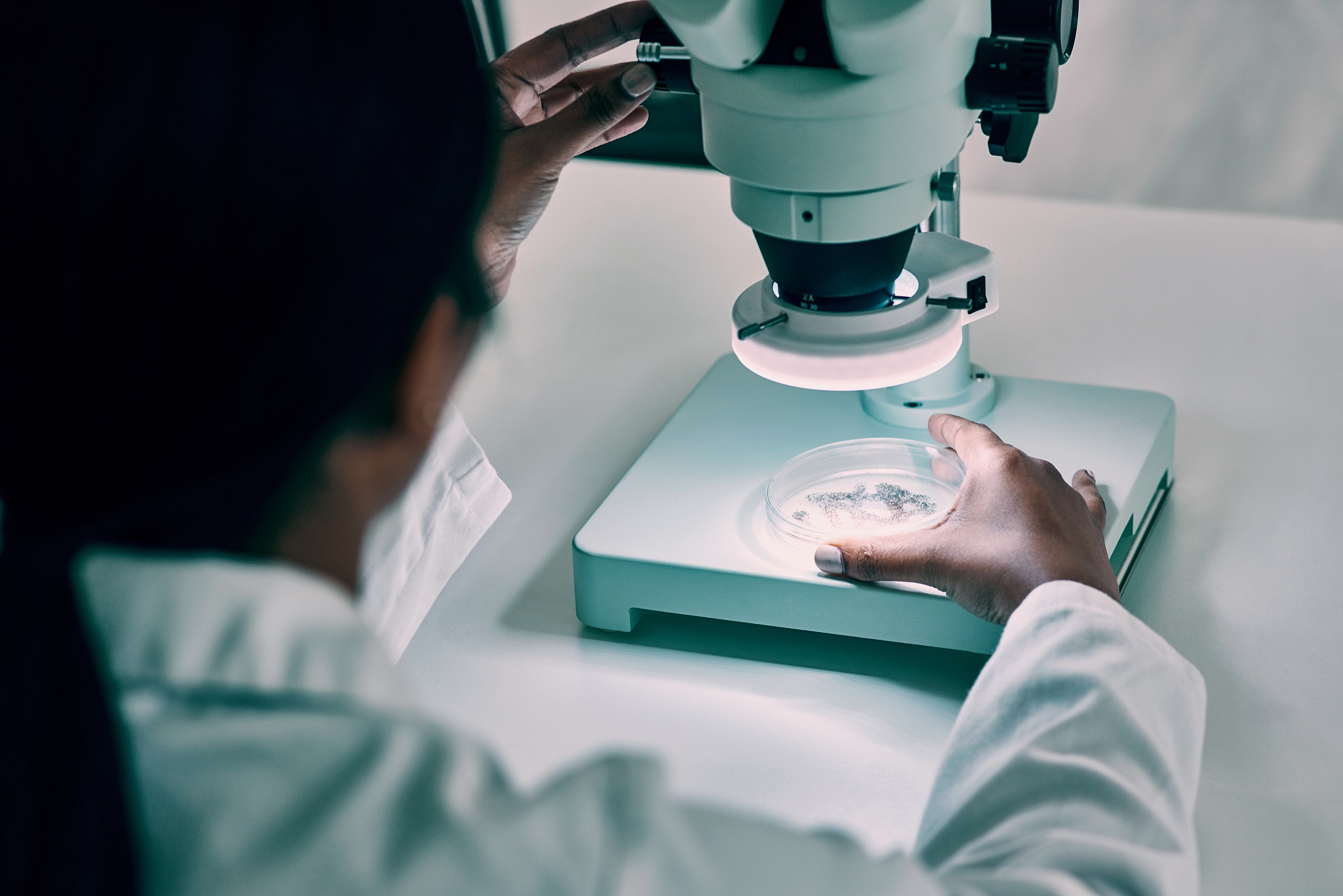 台州学院助产学专业如何