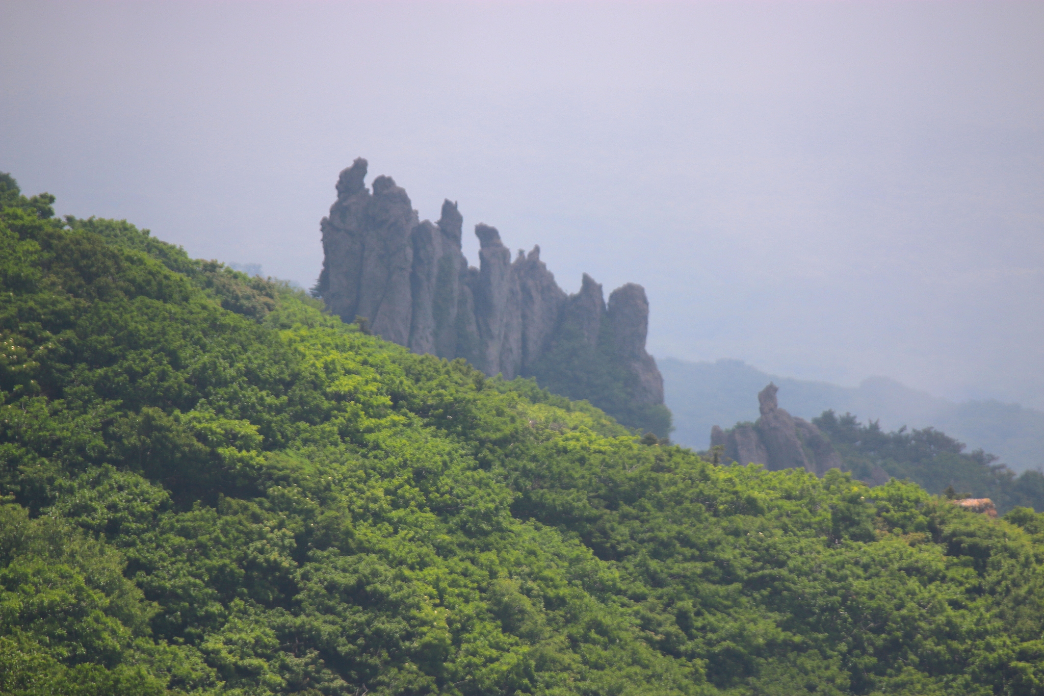 hallasan, mountain, mountain, mountain, forest, mountain, forest