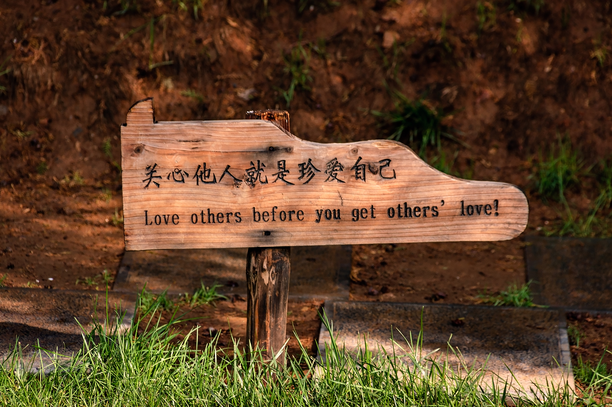 人生八大苦与幸福：佛说‘众生皆苦’的智慧