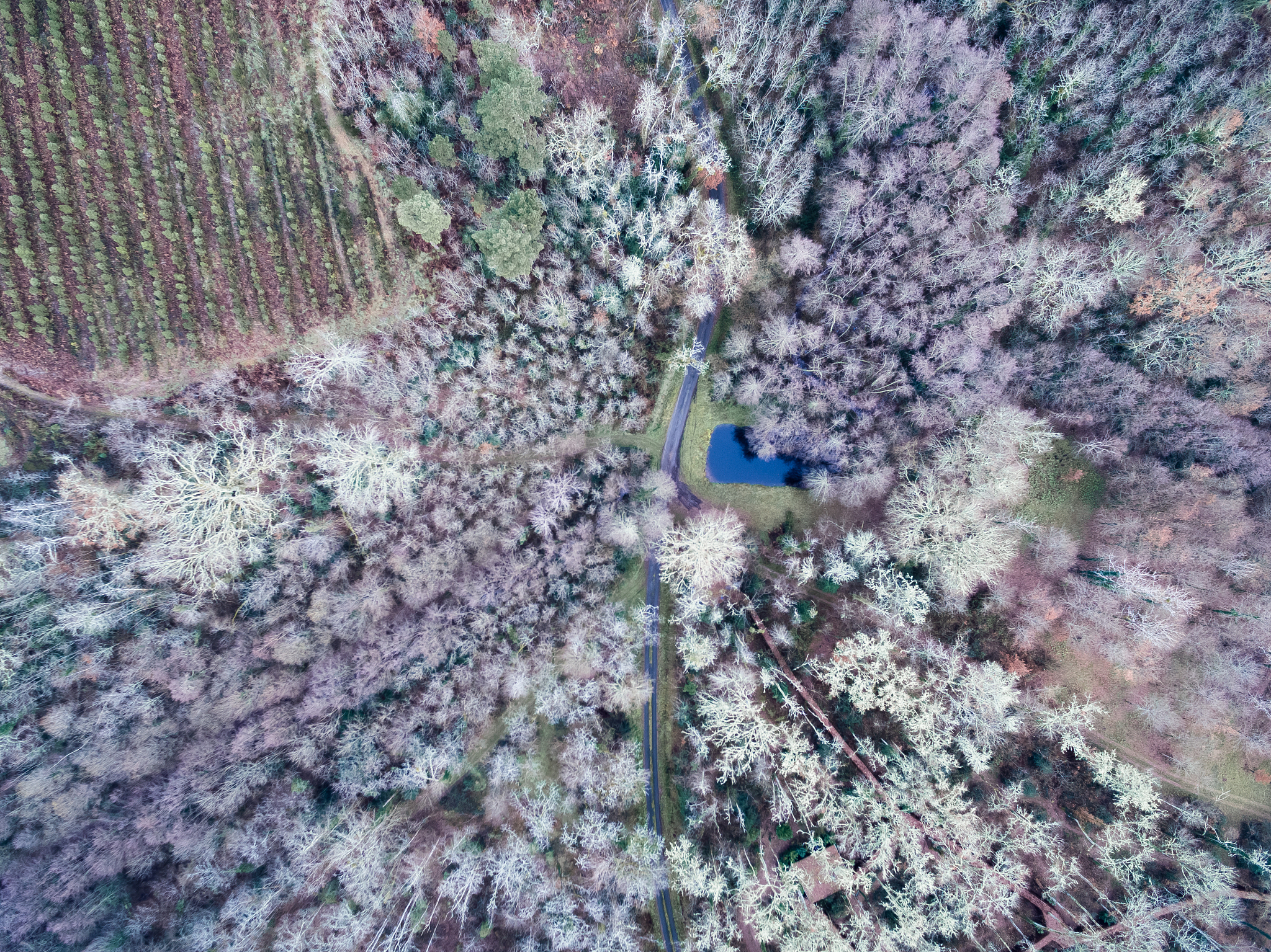 森林密度对海啸缓解效果的影响研究