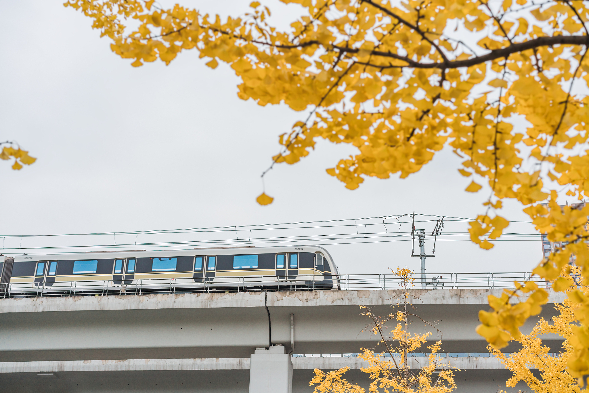 云南交通职业技术学校2019年五年制大专新增招生专业