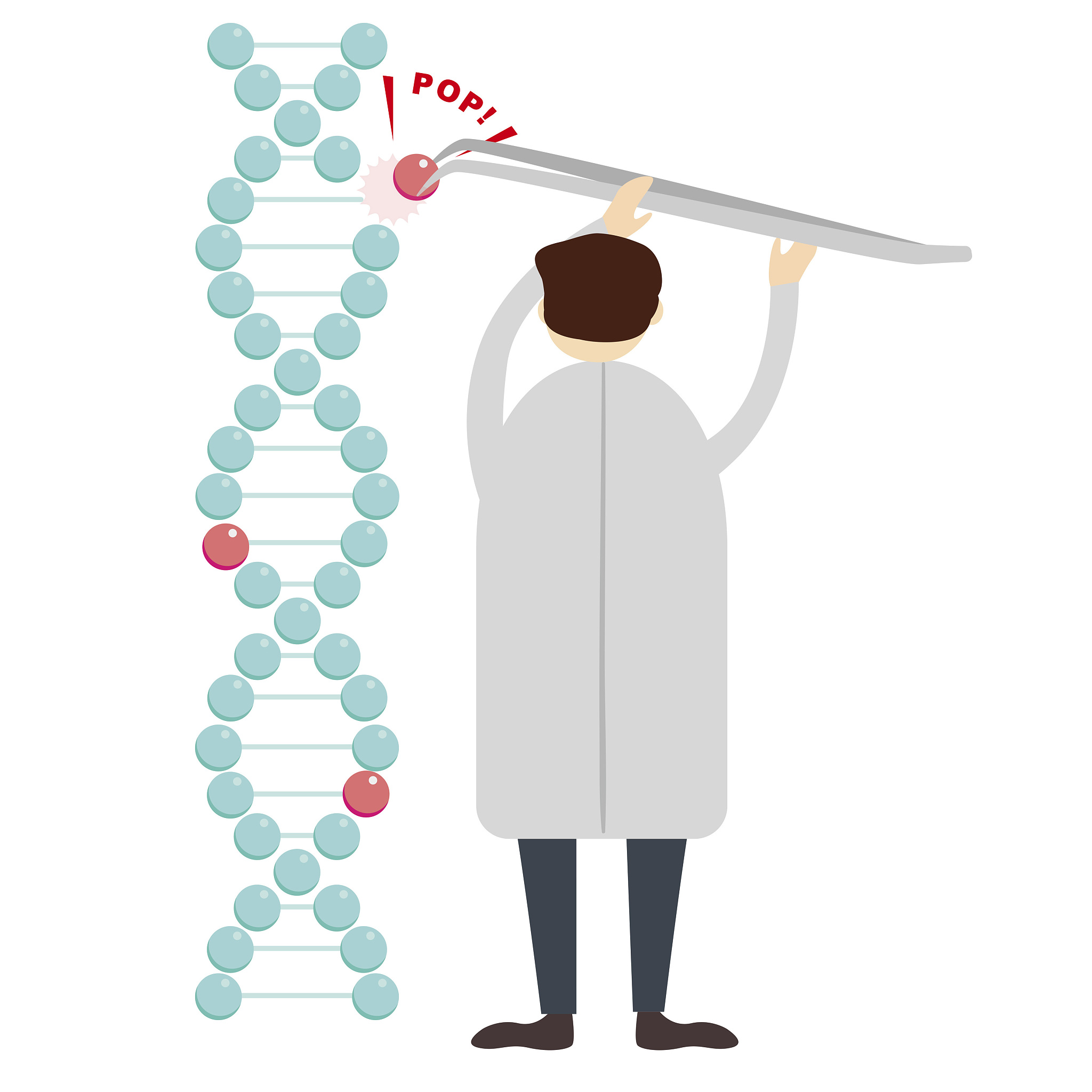 水稻干旱应答基因研究：转录组分析揭示关键基因及调控机制