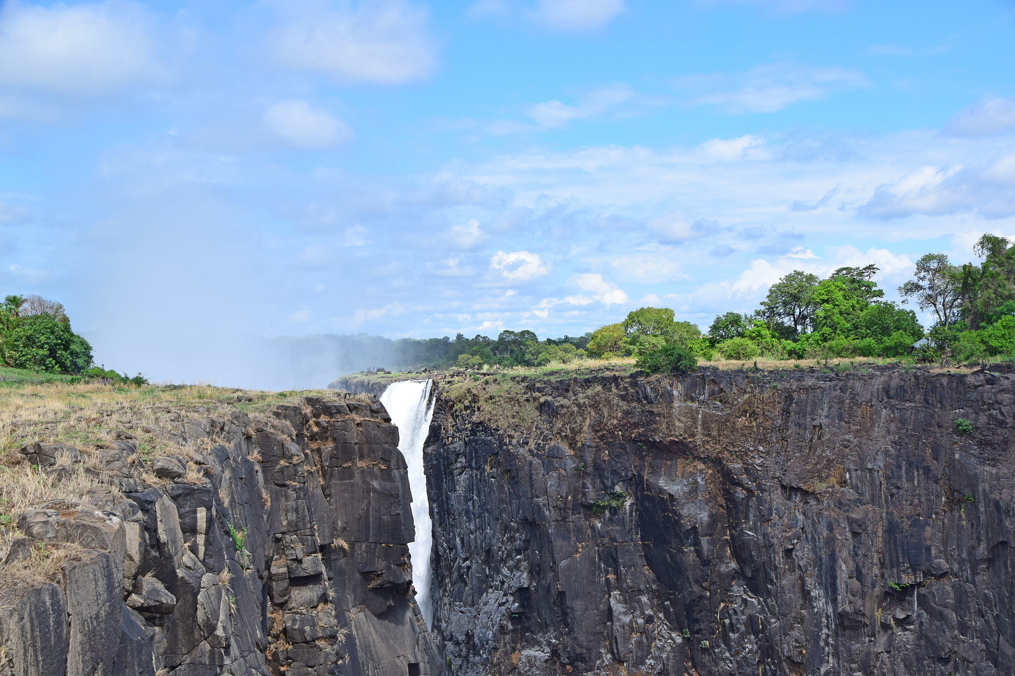 Platos cave and what it means in regards to mid 1940s20th century immigrants impact on American economies and governance