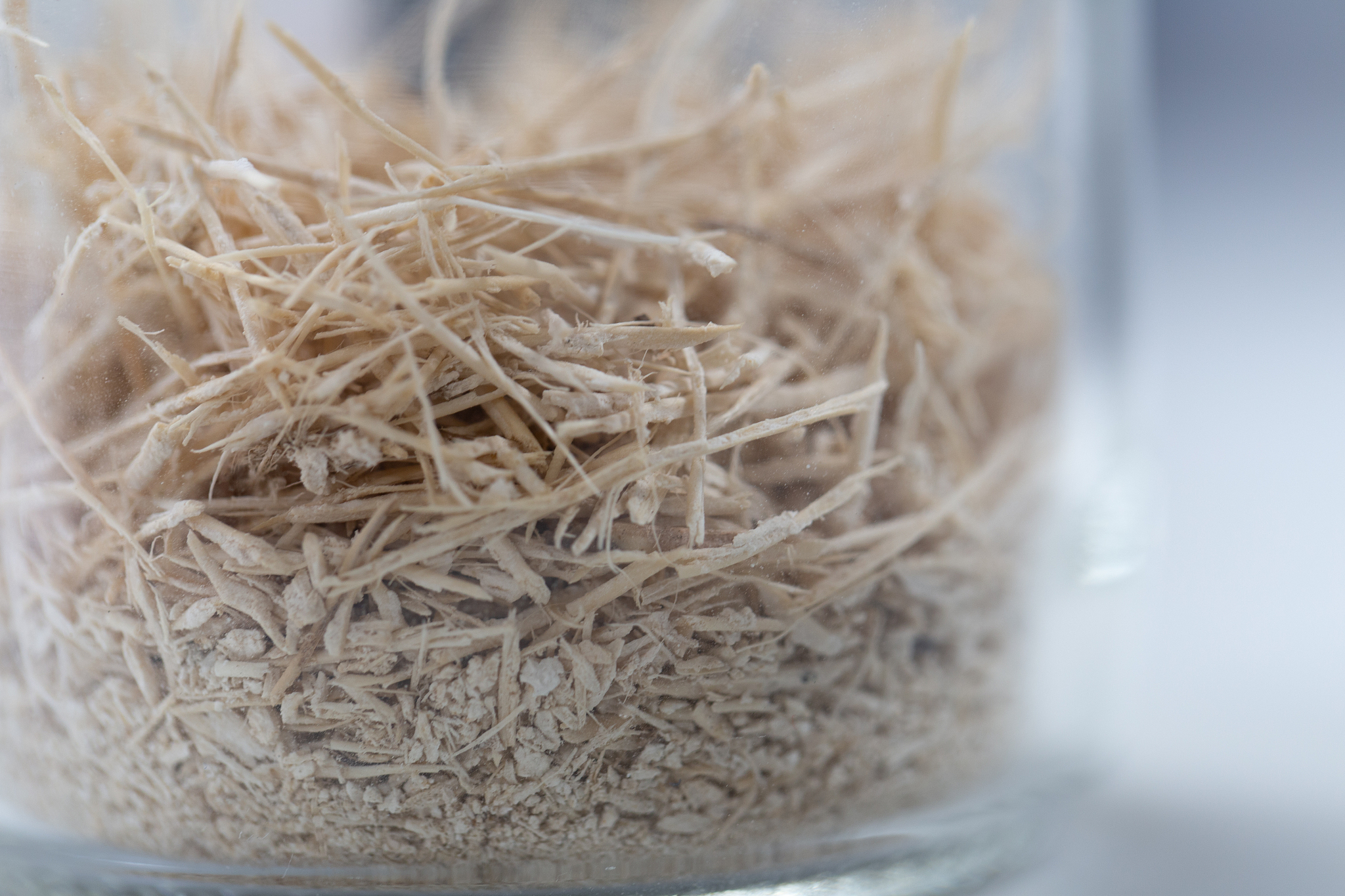 生物质催化热解技术的基本理论知识