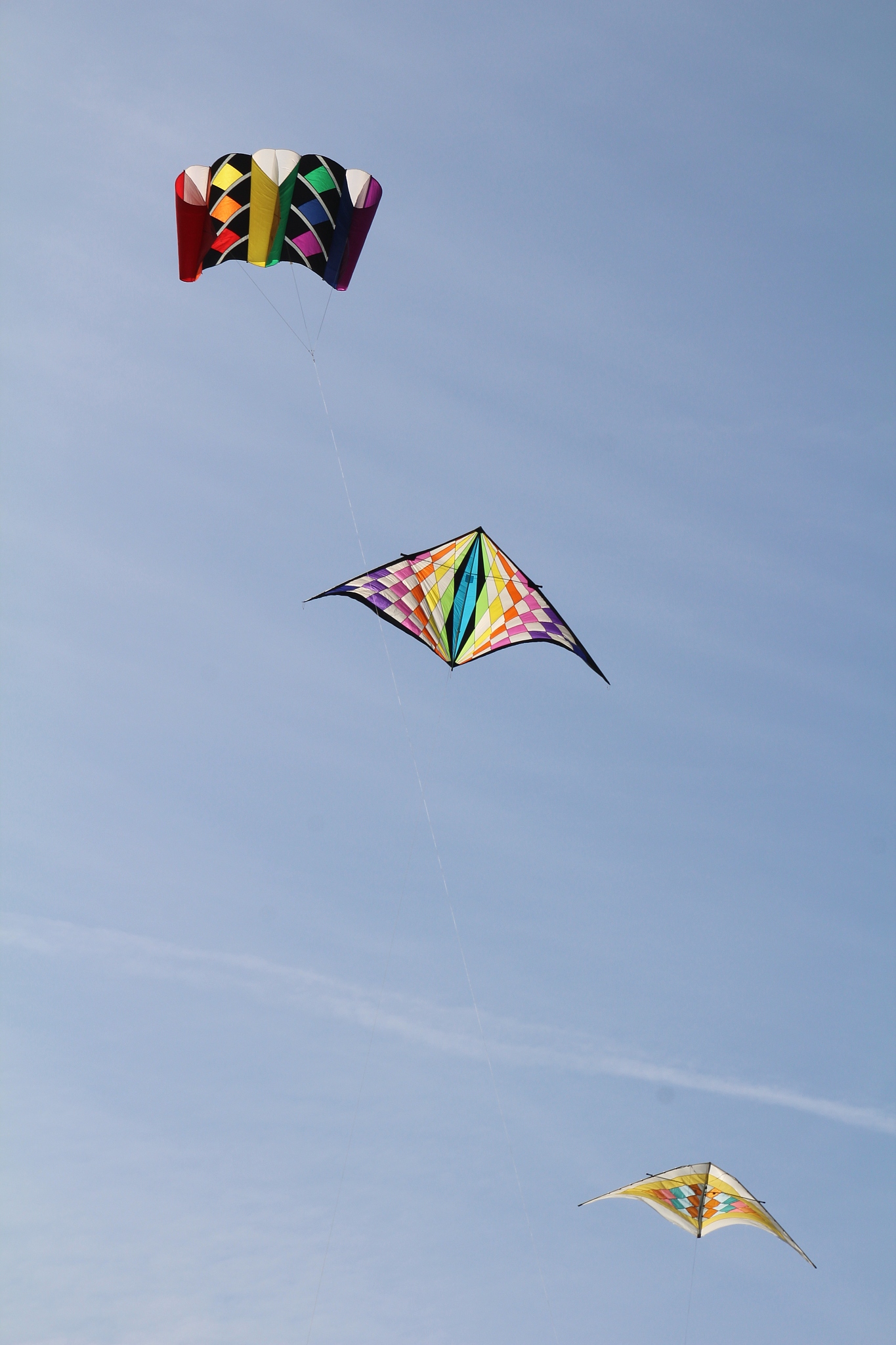 kites