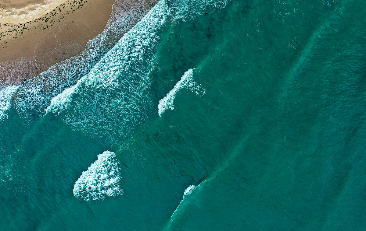 大连海洋学校怎么样？师资、实践教学、发展前景全解析