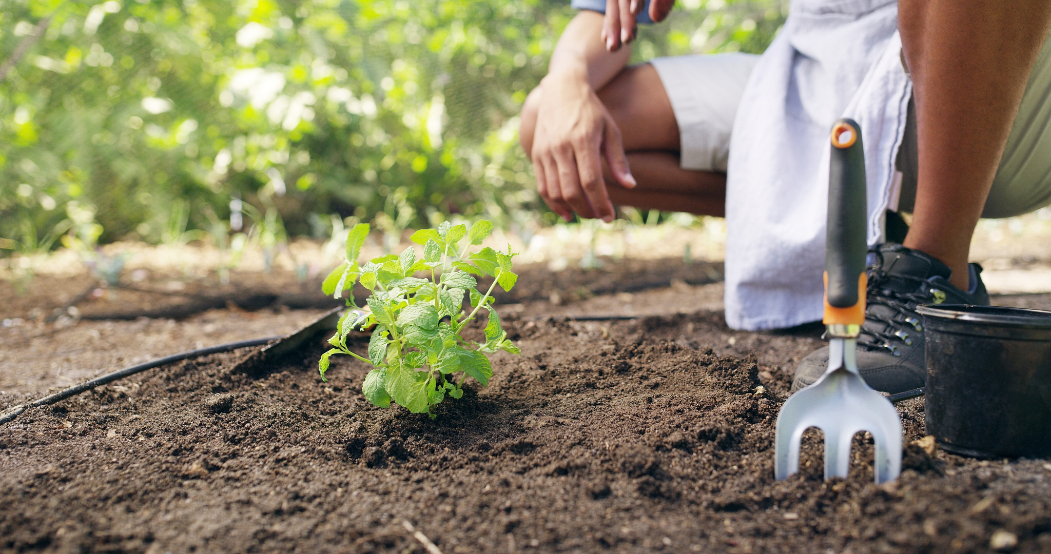 重庆第二农业学校招生专业及情况介绍 - 2020年