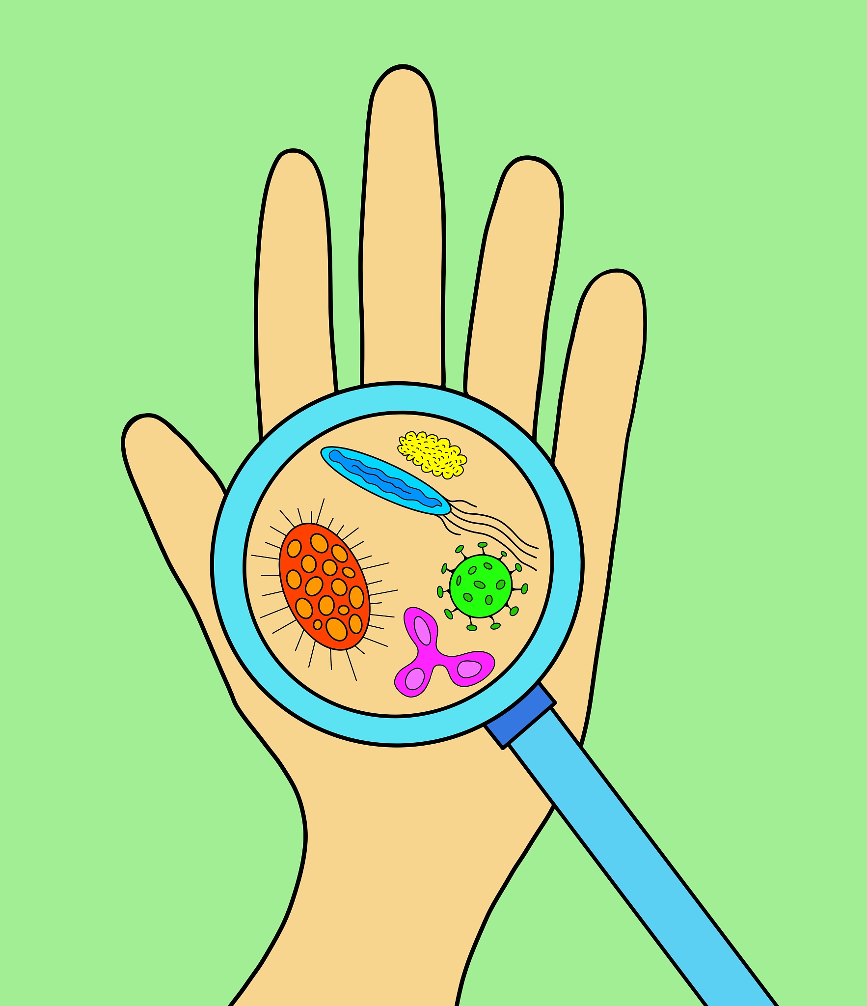 根据以下文本扩充其为一份详尽的论文摘要：本实验旨在分析手部和手机触摸屏上微生物菌群的组成和数量并探讨二者之间的联系。通过采样、分离和培养以及菌落数量统计和质谱鉴定等步骤得到了手部和手机上的微生物菌群组成和数量。实验结果显示手部微生物和手机触摸屏微生物都以葡萄球菌为主但手部微生物的菌群组成更为复杂和多样化。此外手机触摸屏微生物的总菌落数和种类数明显高于手部微生物。这些结果对于了解微生物菌群的变化和疾