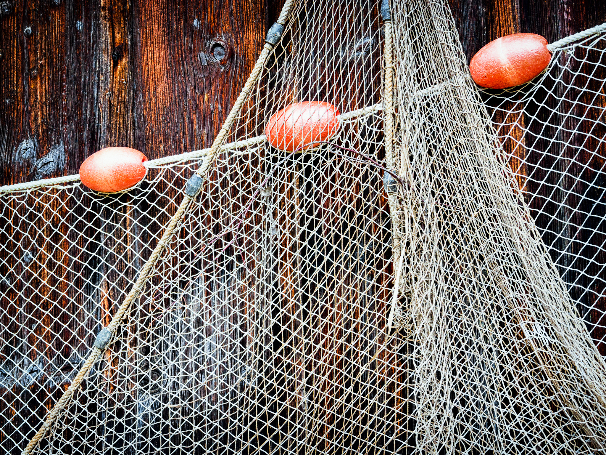 飞盘鱼网与传统鱼网在结构上的异同点帮我用200字详细描述