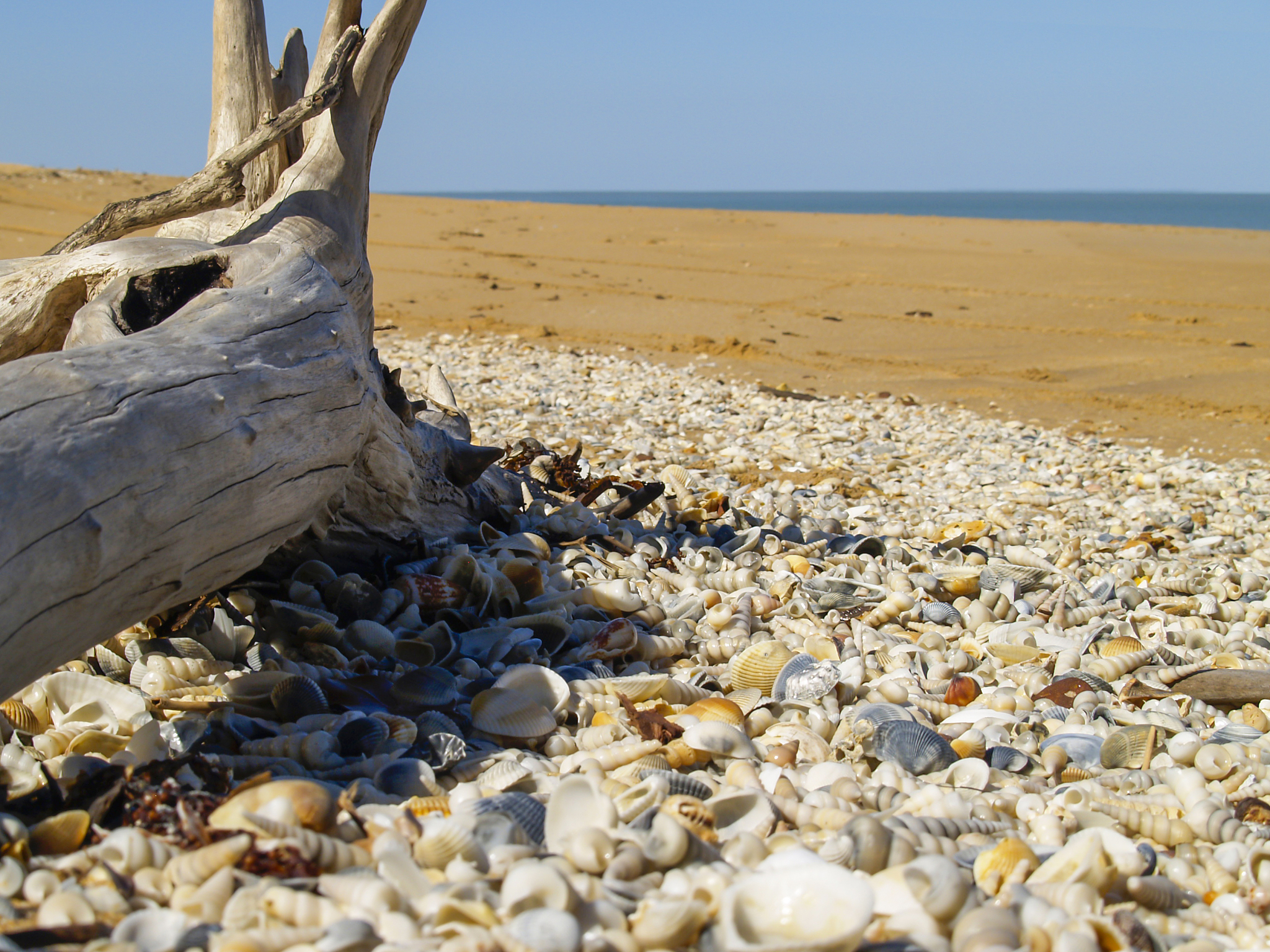 贝壳纹断口分析：货物左右方向周期应力导致疲劳