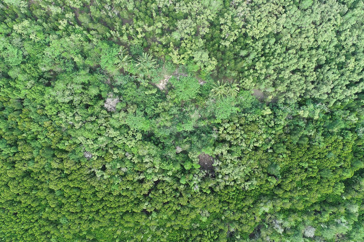 甘南航空职教中心航空无人机专业就业前景 - 未来发展潜力巨大
