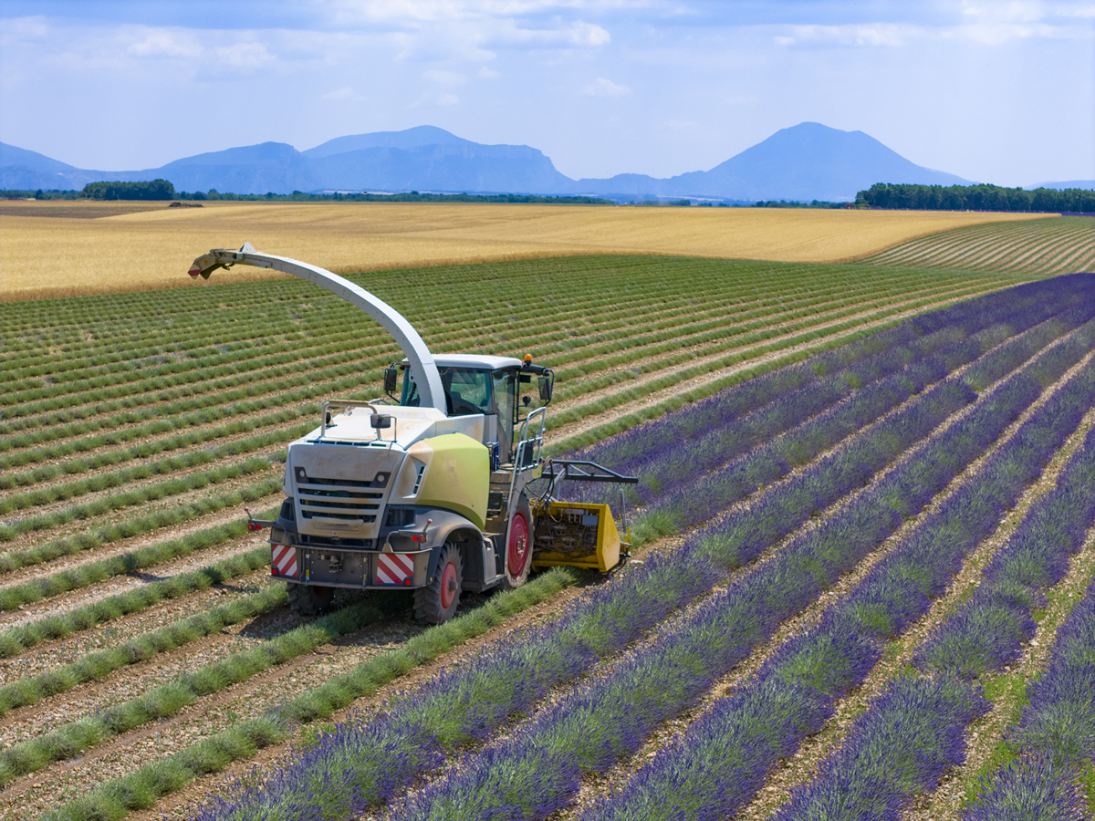 亚热带特色农业机械发展现状及未来展望