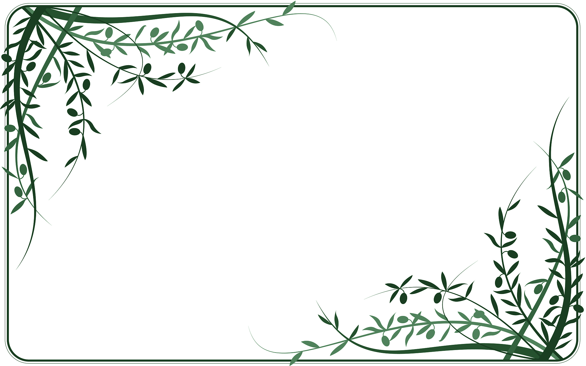 olive branch frame