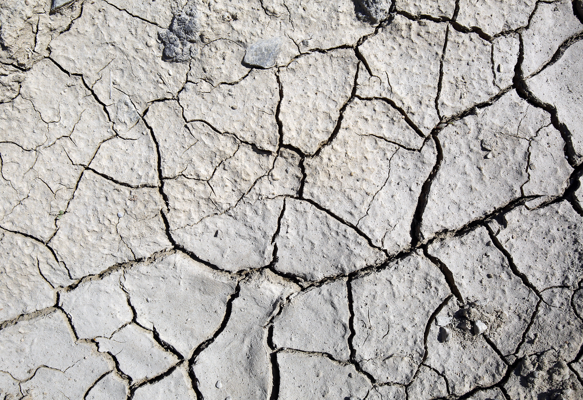 土地管理工作怎么做？8个建议助您高效利用土地资源