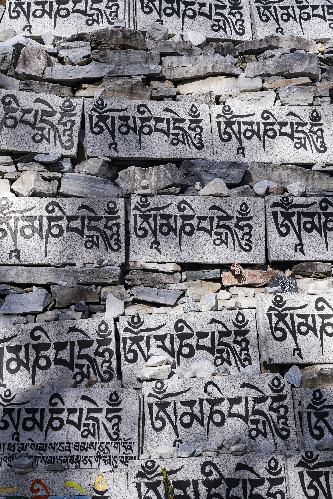 女真族的文化3000字