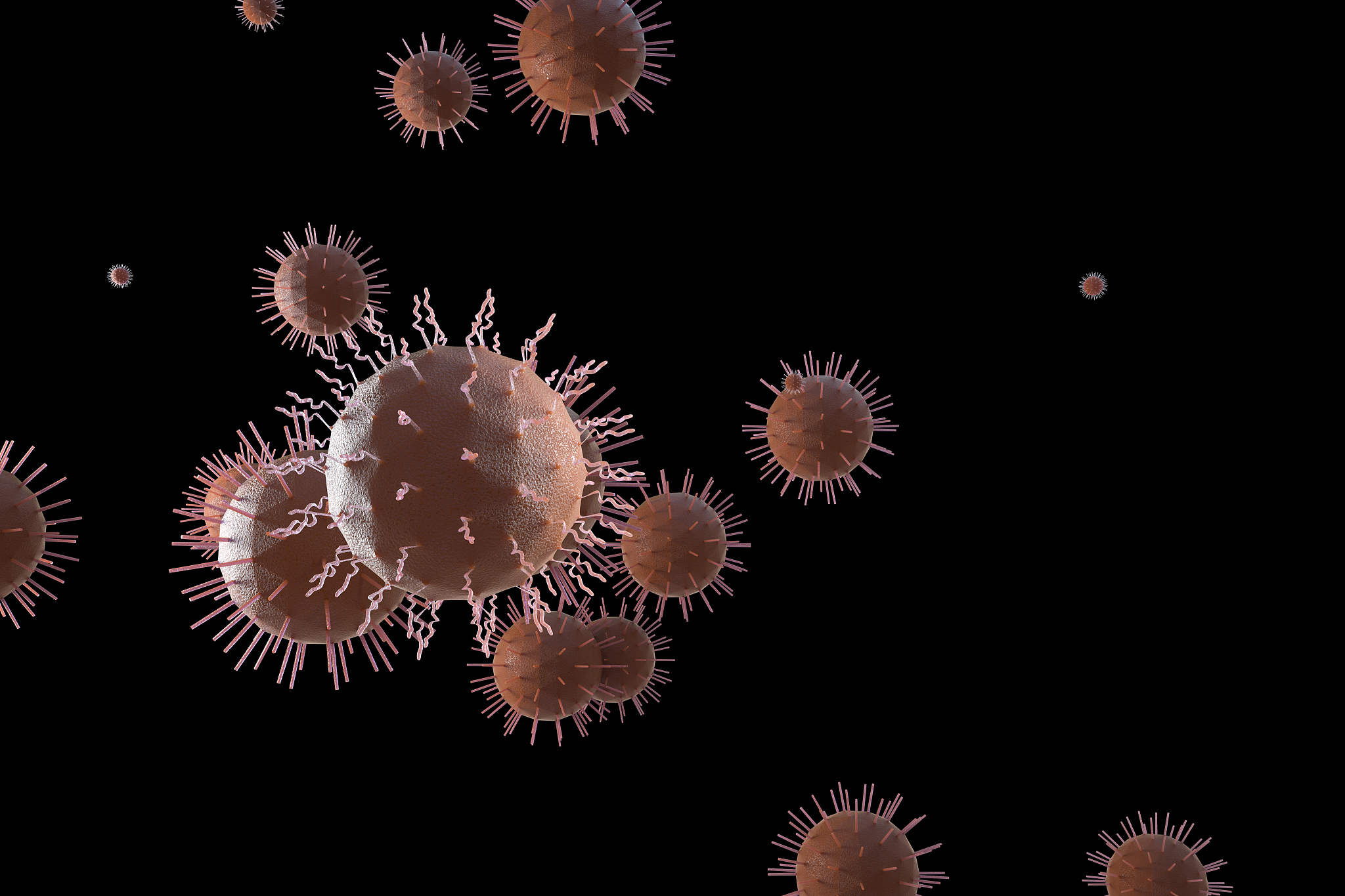 云南卫校理论课程内容：医学伦理、基础医学、临床医学、公共卫生学