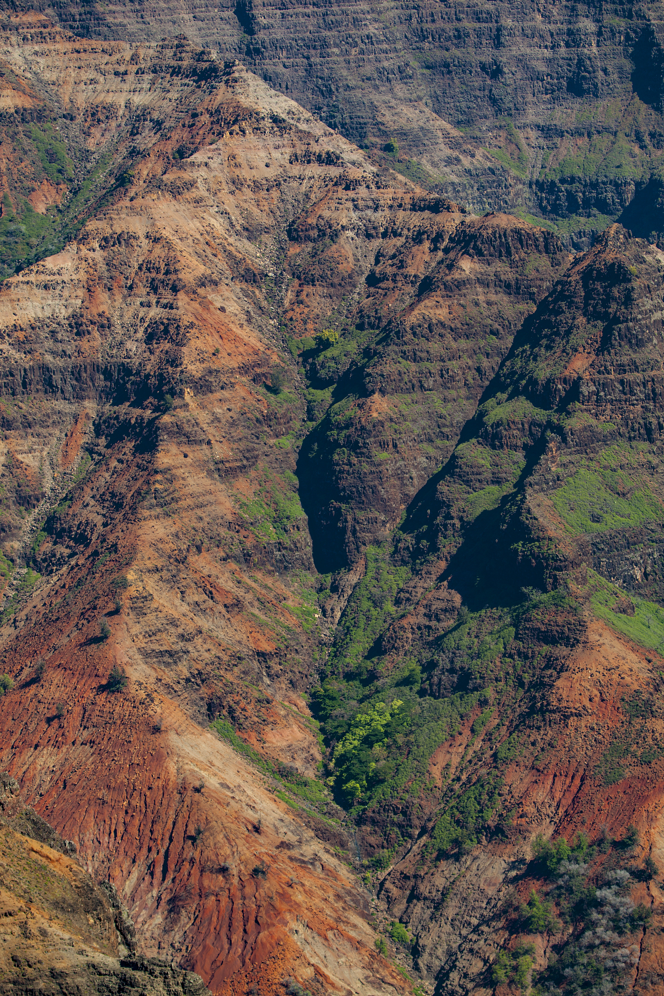 colors of nature at waimea canyon, kauai island, hawaii islands