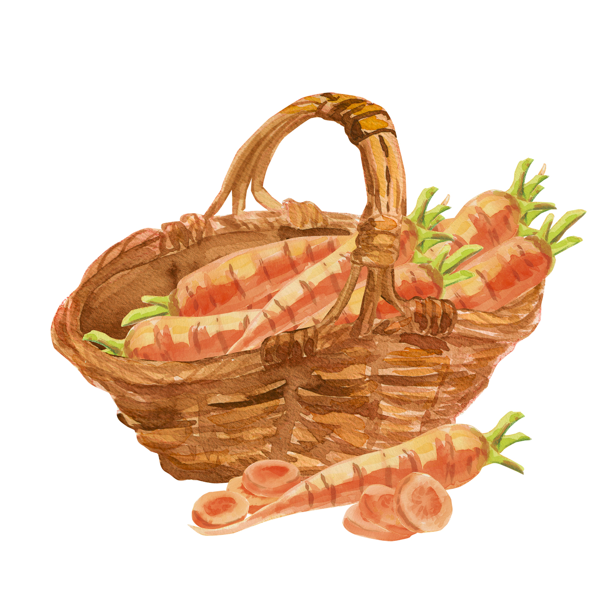 胡萝卜蝴蝶切法