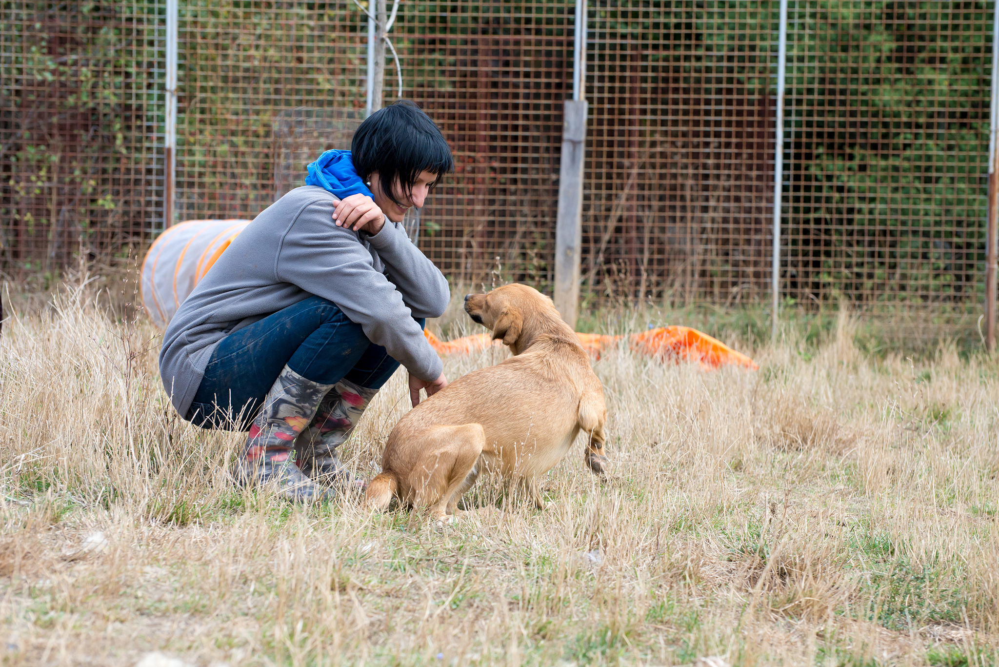 湖州市现代农业技术学校宠物养护与驯导专业：就业前景广阔，值得选择！