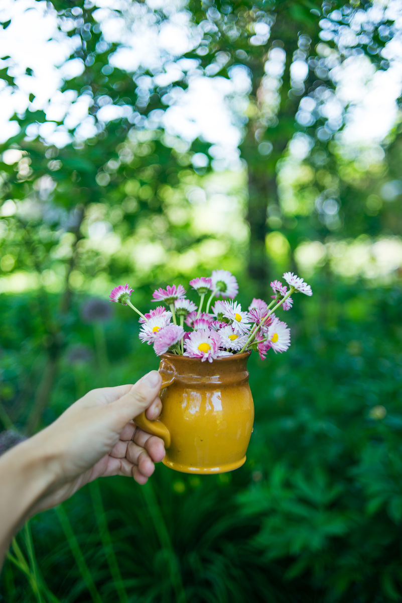平淡的时光不需要太过繁琐的碎片