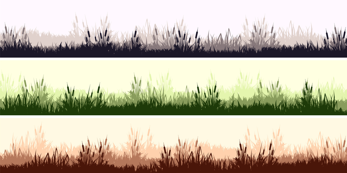 摄影技巧：从光影到构图，拍出精彩照片