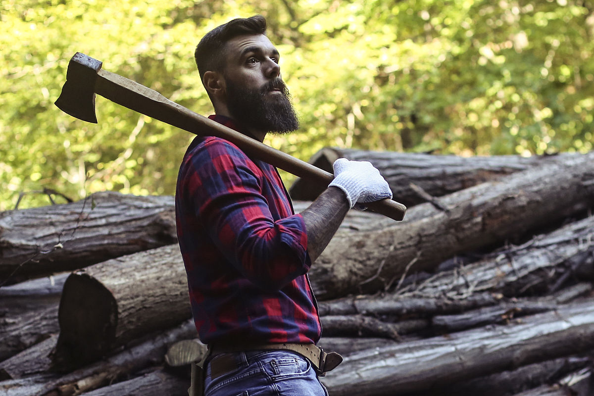 小学二年级看图说话一个伐木工人真在举起斧头砍树一只啄木鸟在他身上准备啄这个工人的脑袋它心想：这段木头里一定有虫