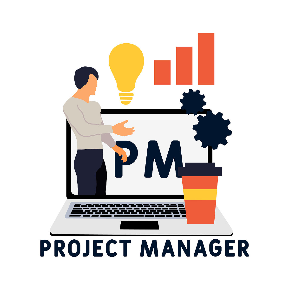 软件项目经理的项目经历要怎样描述请举例？