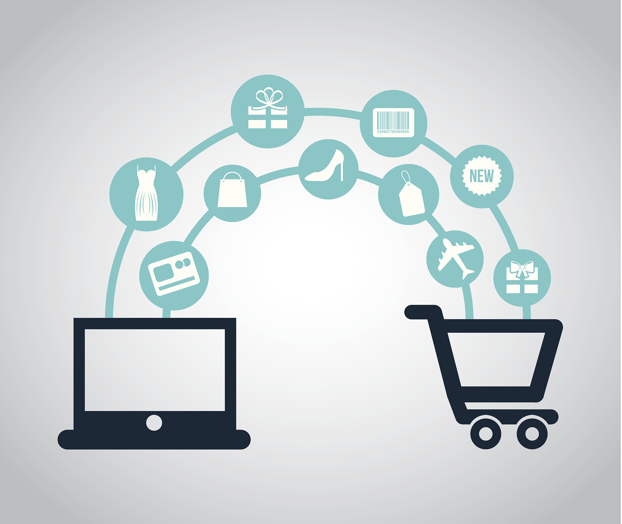 线上鞋城软件研发背景分析