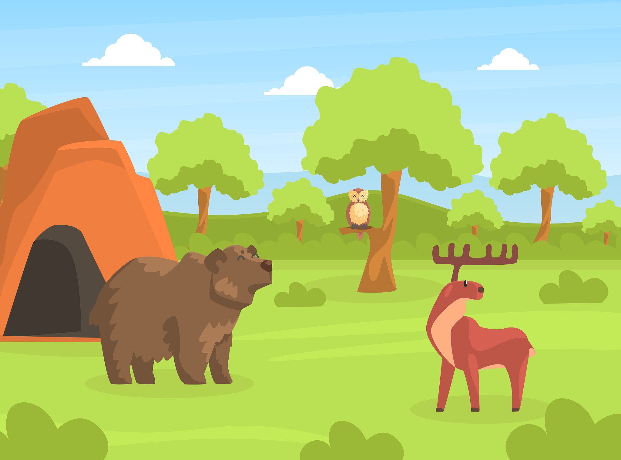Animal Camping & Wildlife Adventures: Tours, Camps, & Experiences
