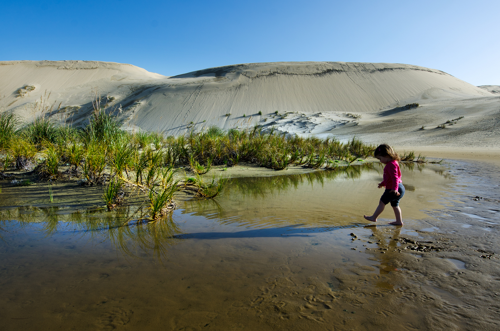 te paki sand dunes