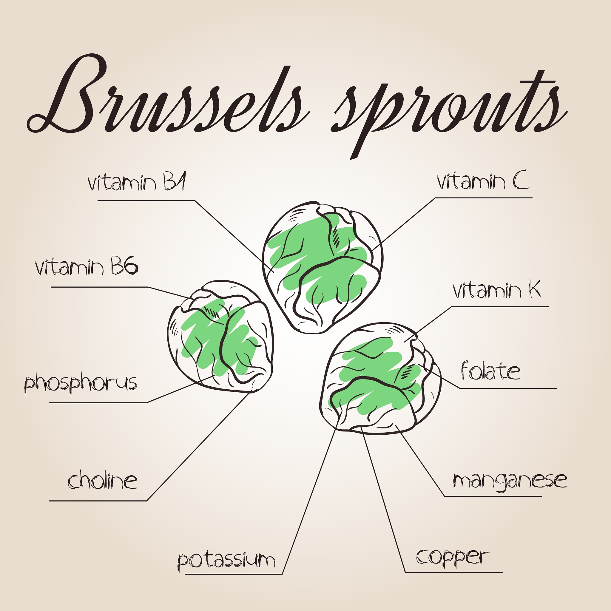 Please write more information about this field For example because of vegan issue selecting lipid is a difficulty to researchers Further botanic lipids have their inherent flavors which are not suitab