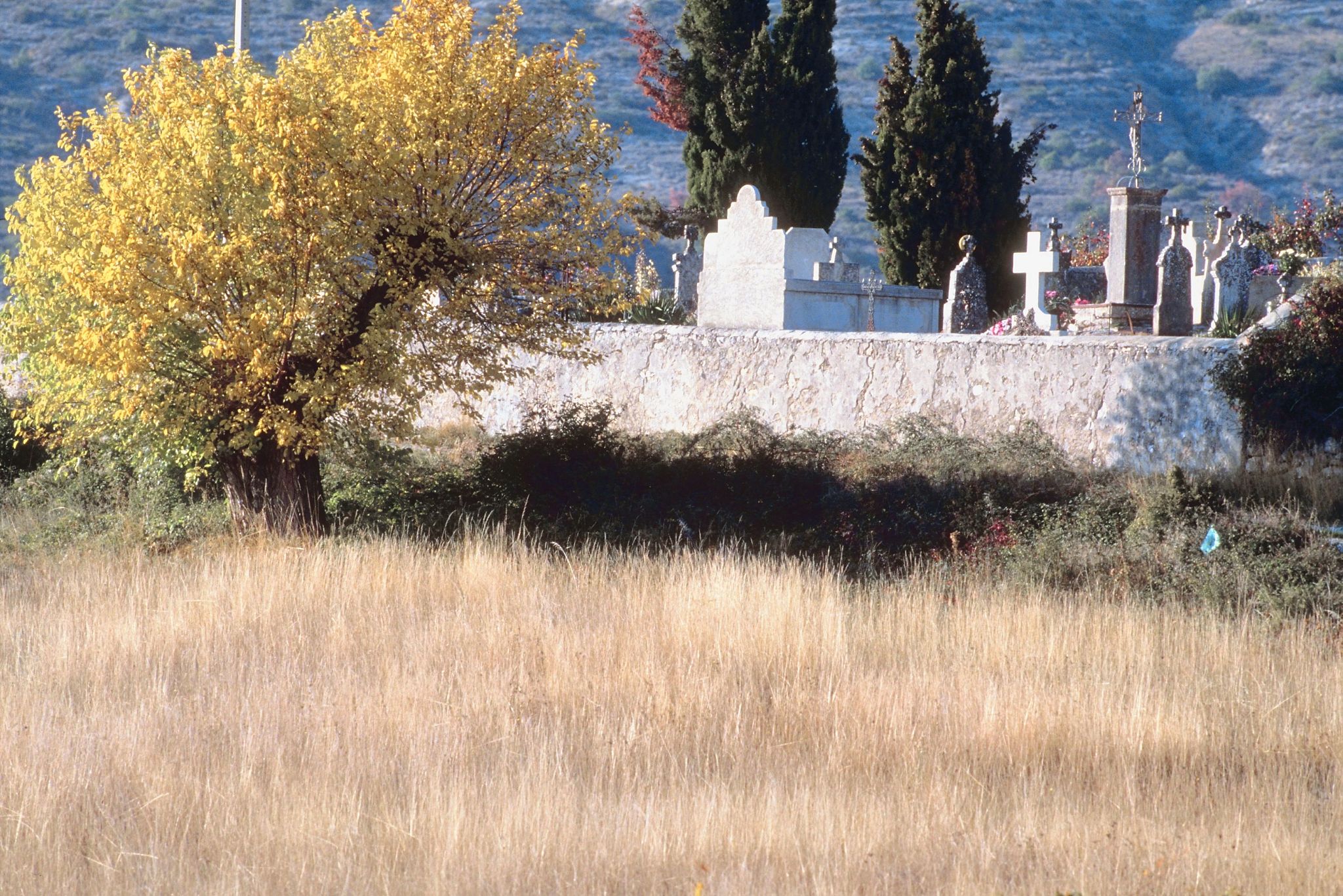 top 10 nichos do momento