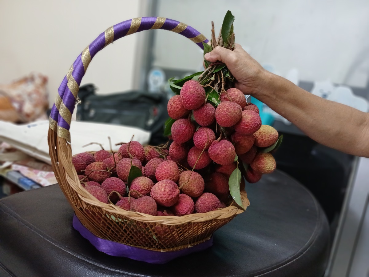 南州六月荔枝丹解析，