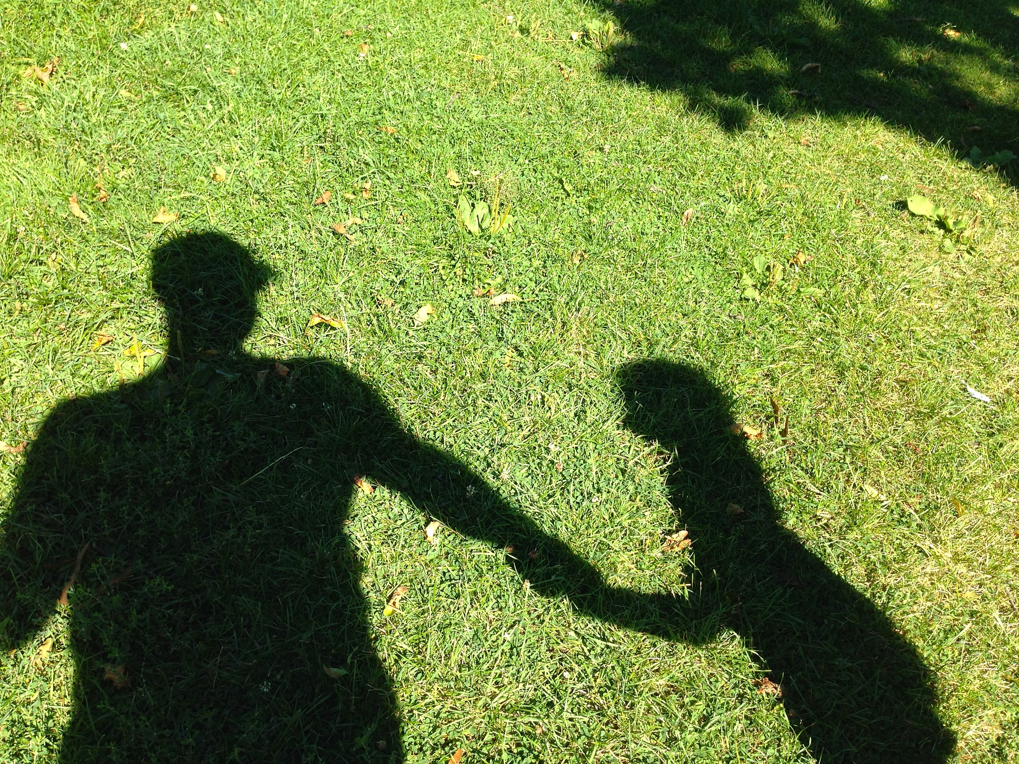 感到不安？疑似被暗中陷害？如何应对？