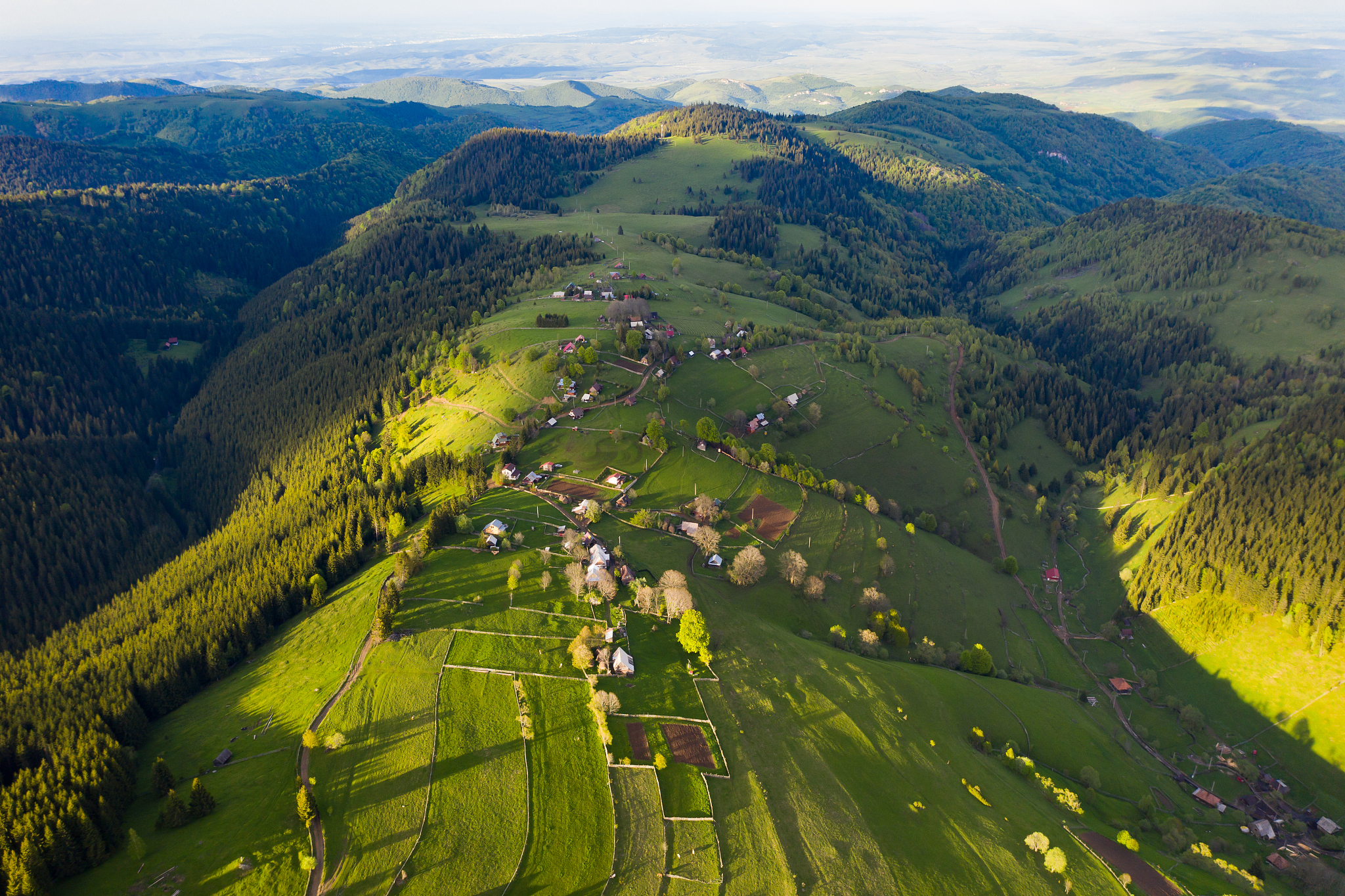 green forests in transylvania, top view.