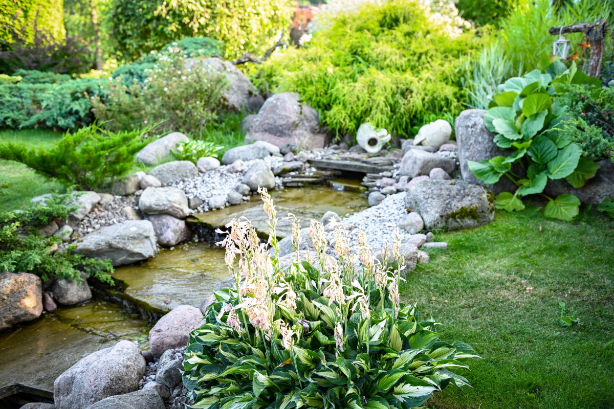 池：C的发音与用途 | 自然与人文中的水体