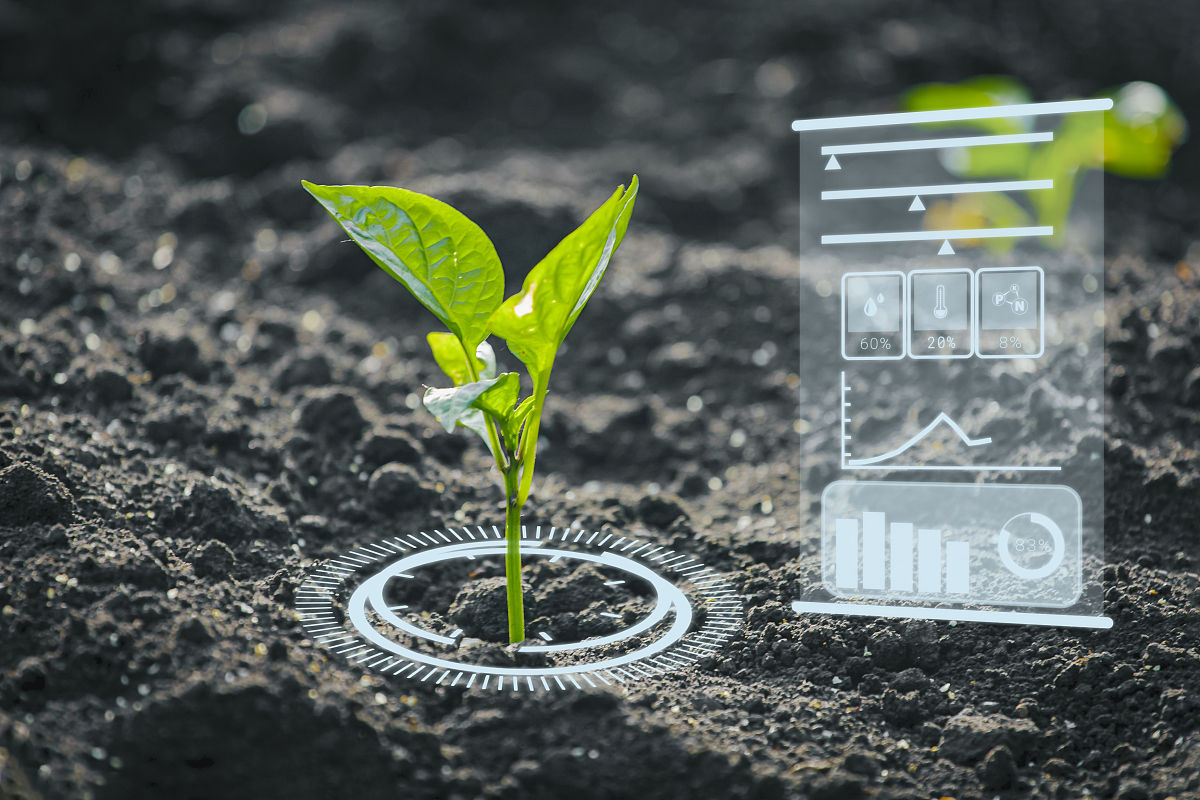 巩义人工智能学校电子商务专业：招生条件、就业前景及未来趋势