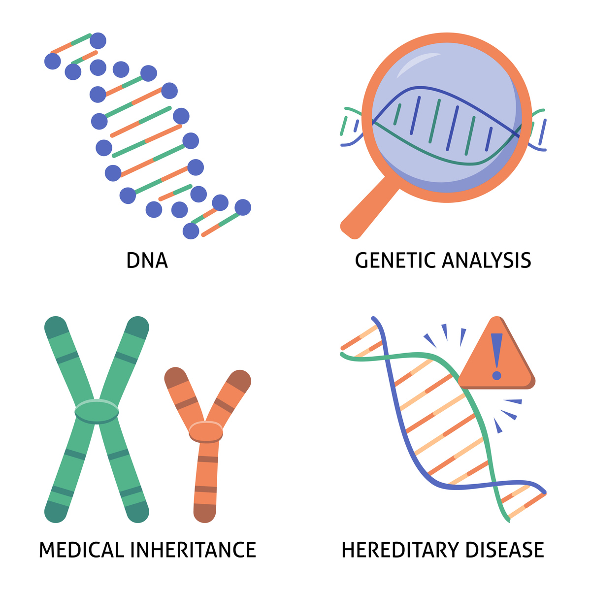 Purine & Pyrimidine: Building Blocks of DNA & RNA