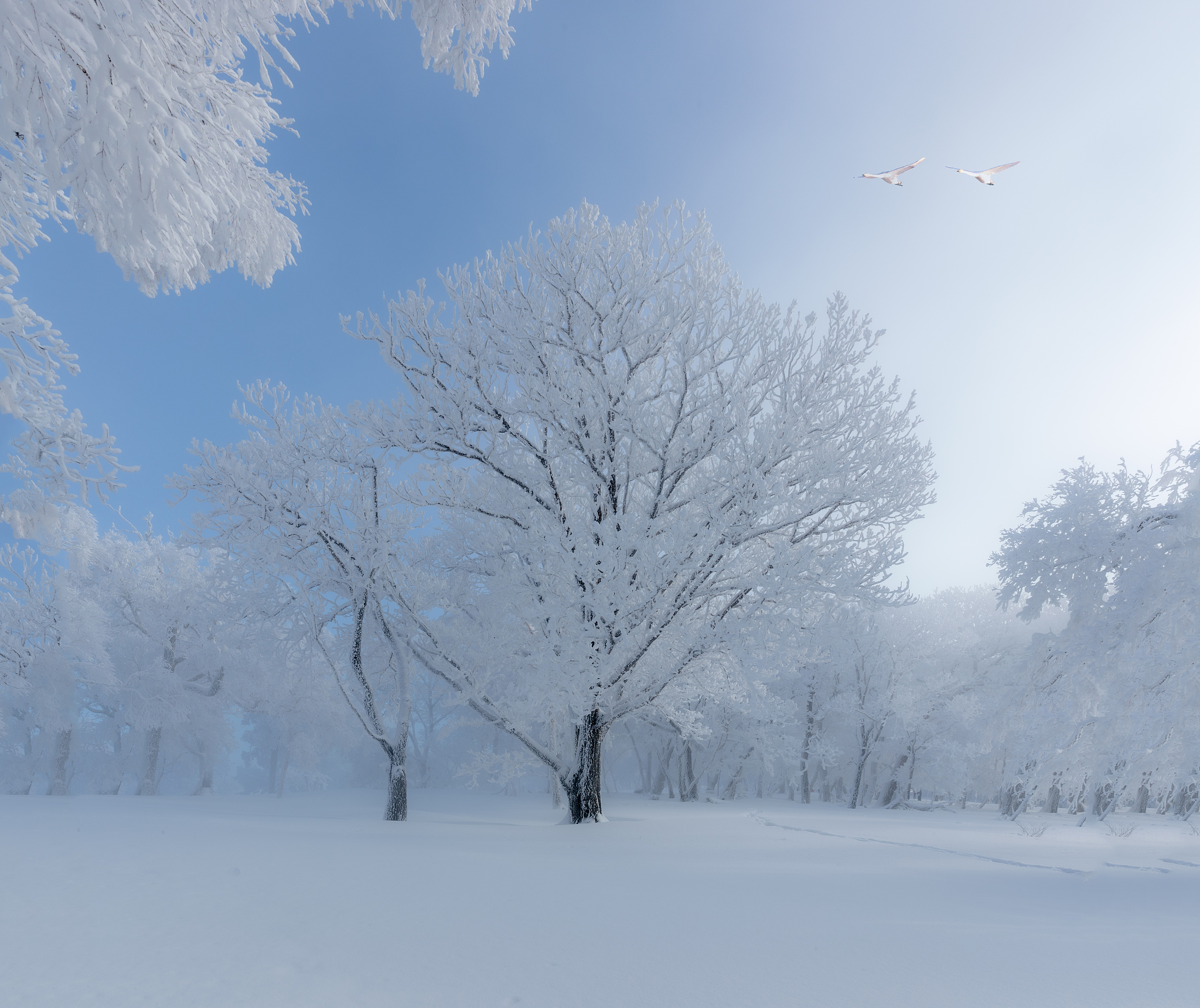 冬天诗句：银装素裹、冰雪奇观、凛冽寒风