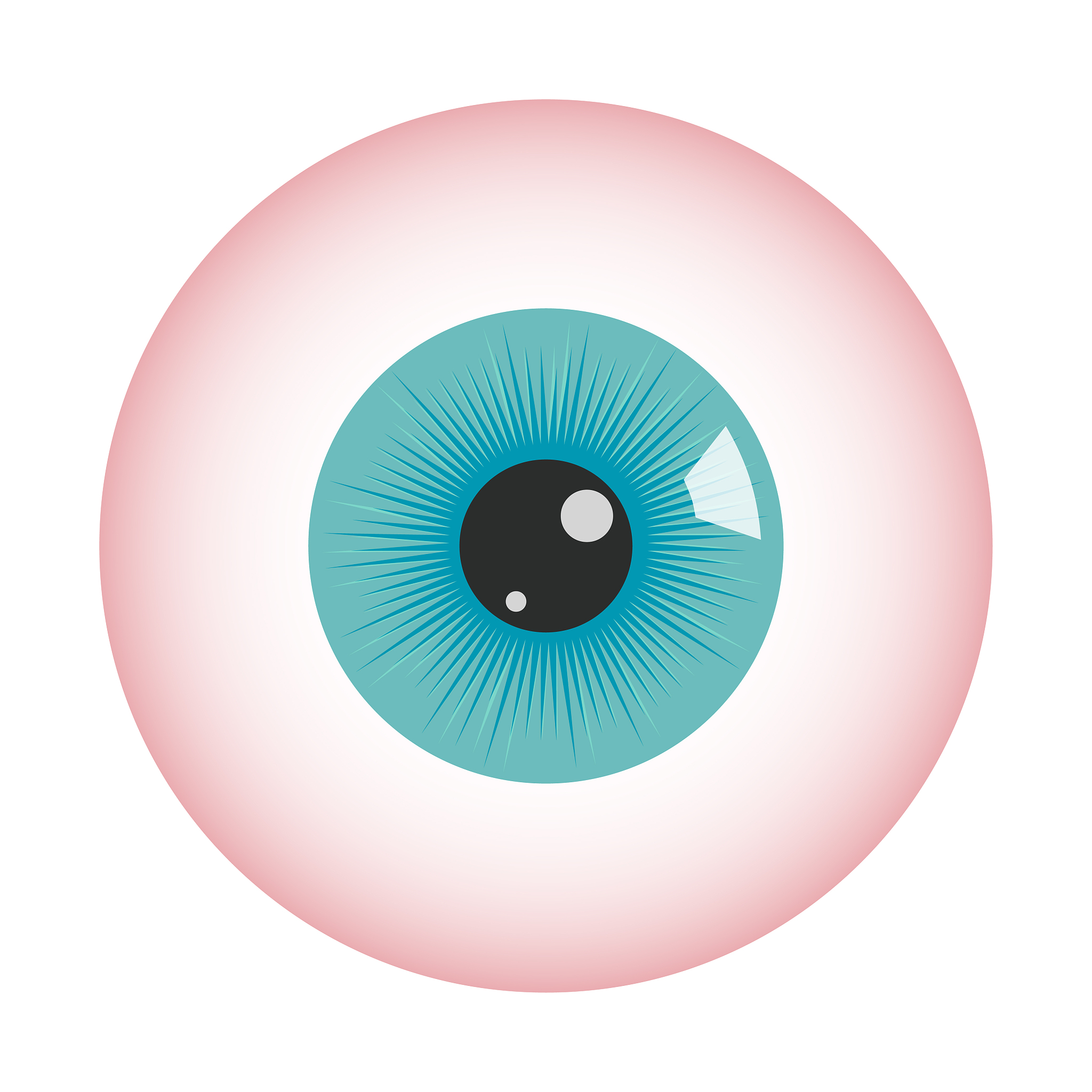 eyeball