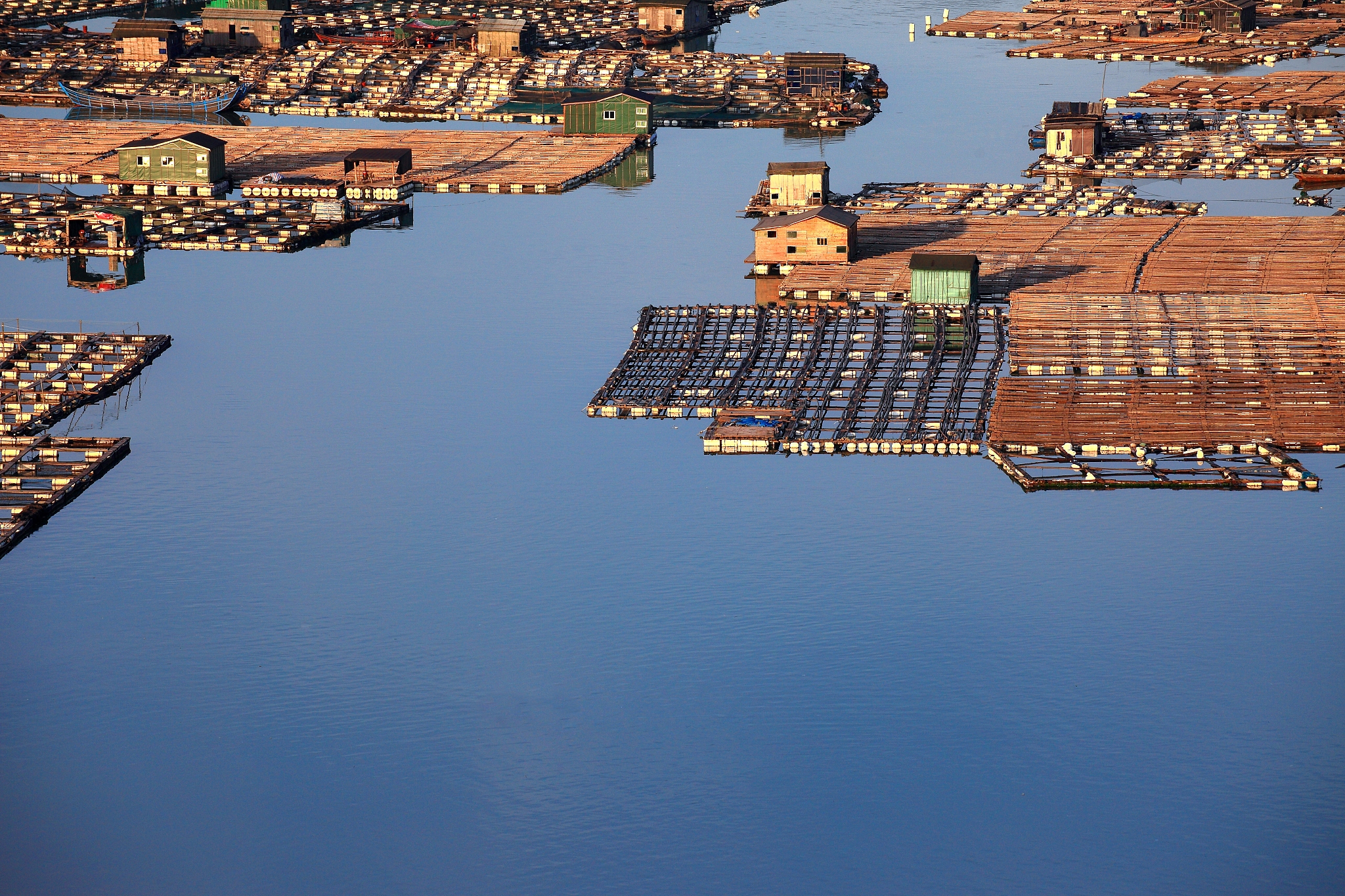 四川省水产学校淡水养殖专业就业前景分析：机遇与挑战