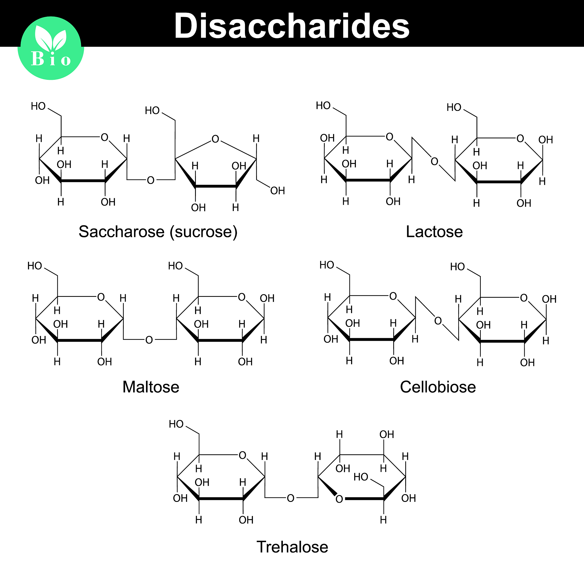 ABS-UV合成过程：从原料到合成树脂的详细步骤