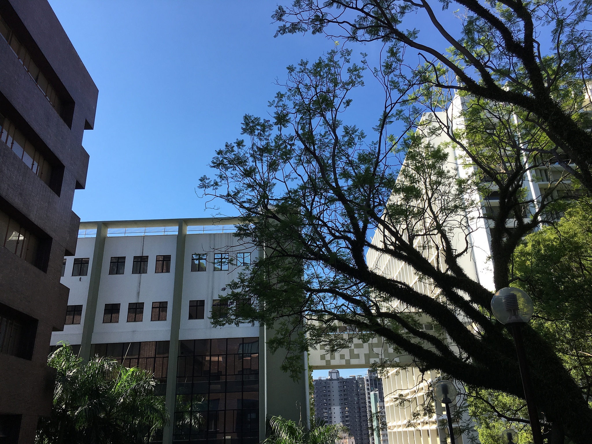 2019年贵阳幼儿师范学校「简介」