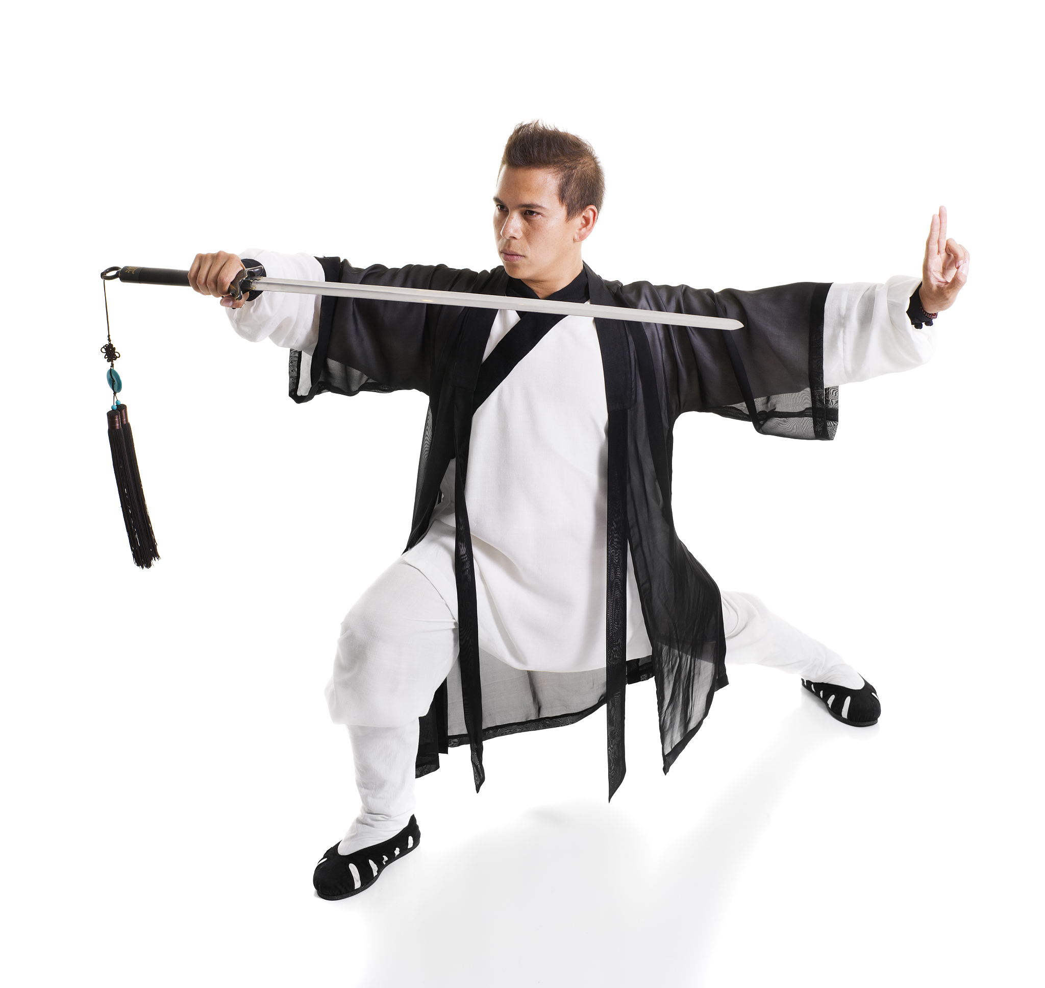 kung fu master
